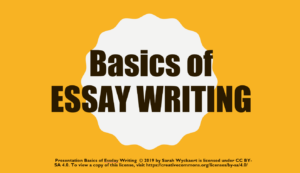 Presentation: Basics of Essay Writing