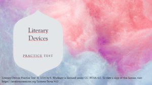 Literary Devices Practice Test